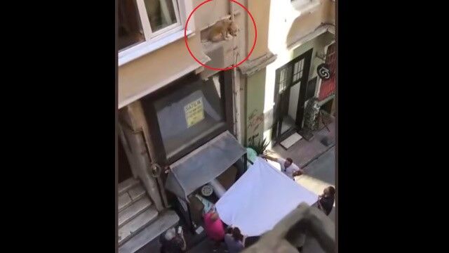 ��꤫��ߤ���ʤ��ʤäƤ��ޤä������Ϥ��碌�Ƶ߽�����ʹ֤���