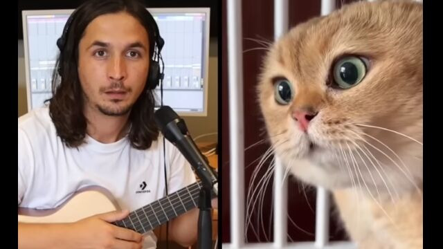 ����褦���Ĥ�ǭ�ȡ����ޤ������˥��å���󤹤�ߥ塼�������ǭ�����ȥ���ǥ����������ˤʤ�