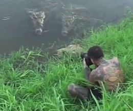 ���ꥮ��ޤǶ�Ť������Ϥ����ˤμ̿��򻣤ä��㤦�������ĤȤ����ΤϤ�äѤ����