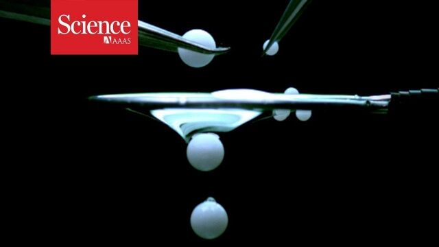 ���Τ��줬��������Τ�����館���礭�ʤ�Τ��̲ᤵ���롢���Υե��륿���������餷��