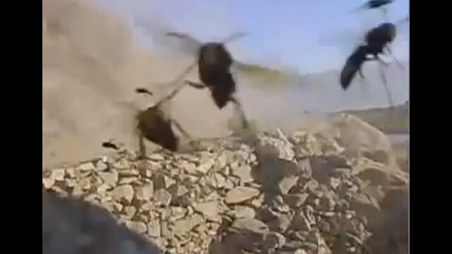 ƻ��ɤ����Ф����ˤ����Ȥ�������ȯ�˴������ޤ줿������Х����ܤ궸�����֤�