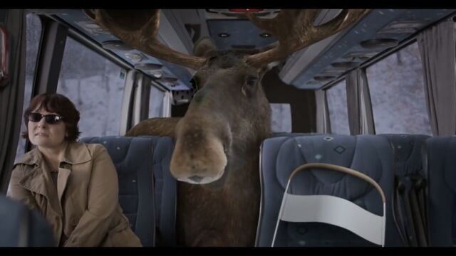 �����ưʪ��������٤��顢��Ƴ�����餤��¿��˸��ƤͤȤ������Υ륦�����տͶ����CM