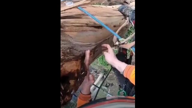 ʹ֤ܤ򤫤ä餦ĻΥϥ󥿡äפ꤬