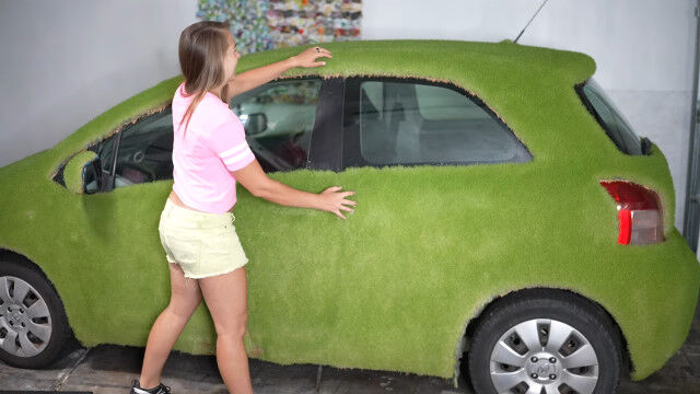愛車のボディーにチアシードを塗りたくり、発芽させて緑化した「ジャイアント・チアペット・カー」