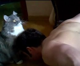 腕立て伏せを手伝ってくれる?猫