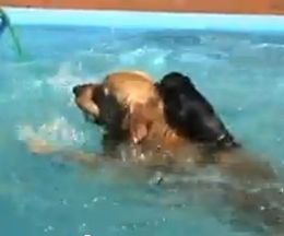 �Ҹ�������äƱˤ�������⤷���ä�