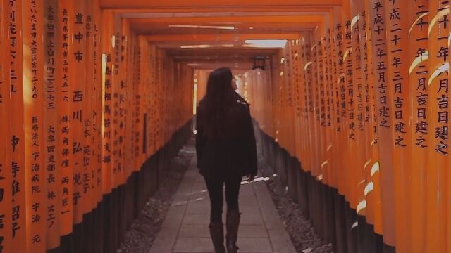 「日本は美しかった…」1月の日本を堪能した、スコットさんが見た風景 January in Japan