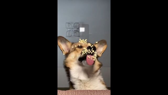 饹ơ֥β鸫夲򿩤٤ͻ