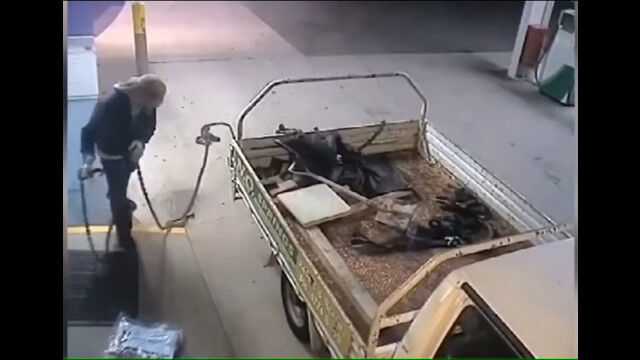 �֤Ƕ�������ߤ��Ƥ���ΤΡ�����������Ƭ�������ä�����