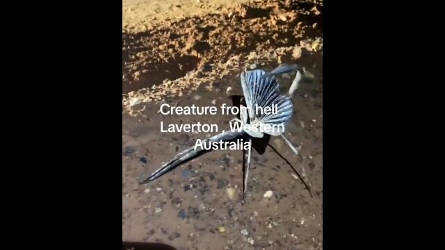 Τ褦ͦޤʹ֤ˤ̵ʥʥʥեʤκ