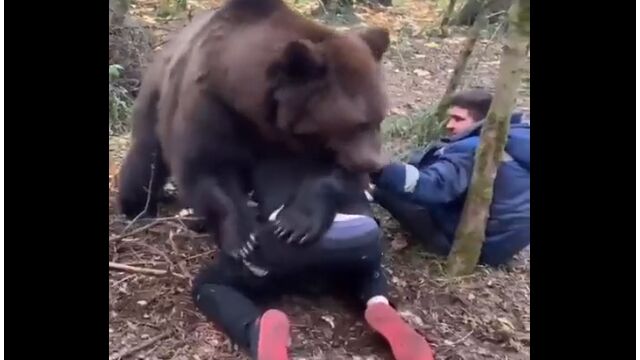 デカいクマと取っ組み合い、じゃれ合って遊ぶロシア人たち
