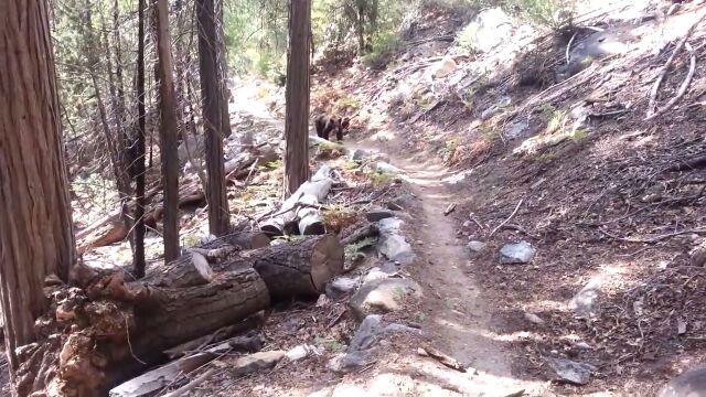 η̤äƤȤнˡΤҤȤ