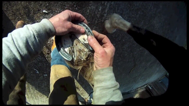 ��Ŵ�򳰤��ơ��ڤäƺ�äơ��ϤΥҥť�򤪼����줹�롢���ͤ���λ������鸫������