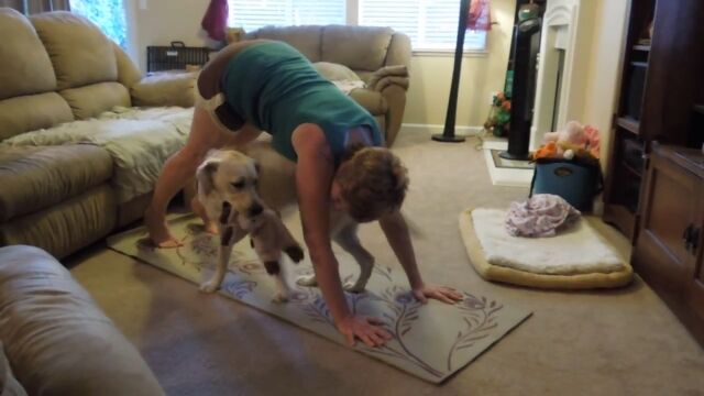 ���������襬�⤷�Ƥ��ʤ��������Ȥ椨�ζ�Ǻ