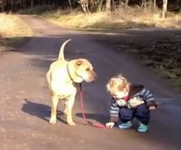 �ˤλҤ���ί�ޤ��ͷ�ִ֡�����ä��ԤäƤƤ�����緿��