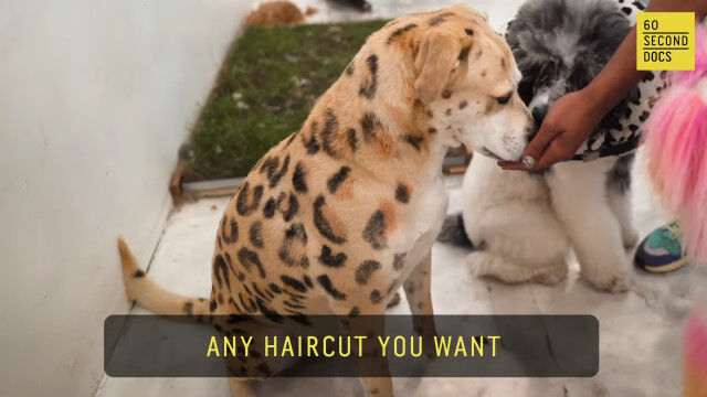 ���򥫥�ե������夲�롢����ꥫ�Υ���ָ����ɥå������롼�ޡ�