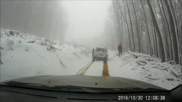 ɥ֥졼ϤȤƤȤȤ褯ʬ롢ֺܥ餫α