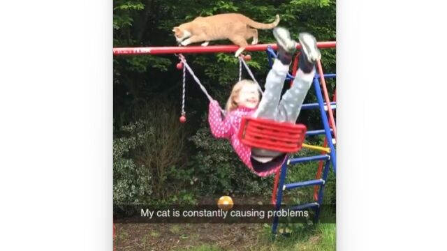 ブランコ漕いで遊ぶ女の子、その上を歩く猫。悪い予感しかしないシチュエーション