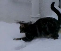 �ߤ��Ѥ����˸��Ǥ��ĤĤ⡢��Ӷ�ޤ��ǭ