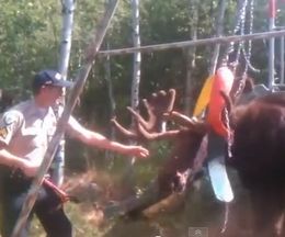 �ǥ���ʬ�������ϫ���֥�󥳤����ޤä��إ饸���ε߽з�