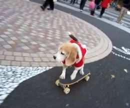 ���������夳�ʤ����������ȥܡ��ɤ��ꤳ�ʤ���