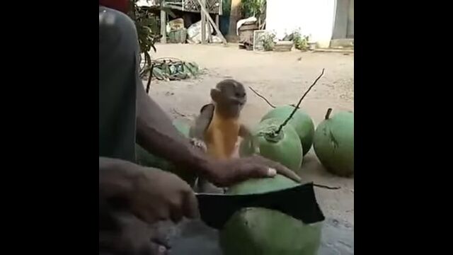 ʥåĥ塼Ƥޤʤߤʥ֤