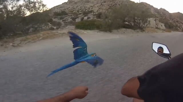 �����֥��󥳤Ȱ��ˤ����⡪�Х�������������������ڤ���