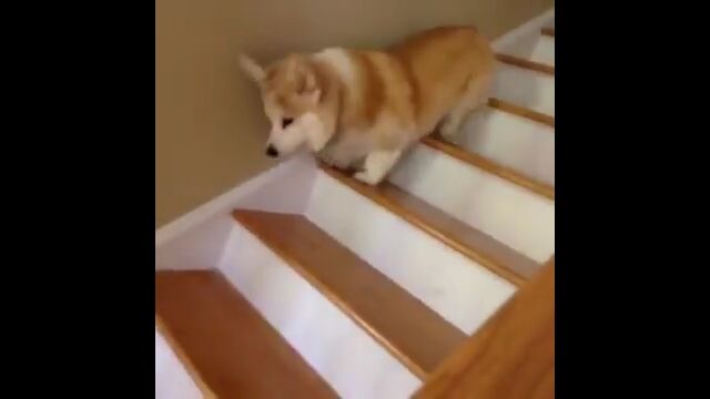 ­��û�����������������ࡼ���˳��ʤ�ߤ����ˡ