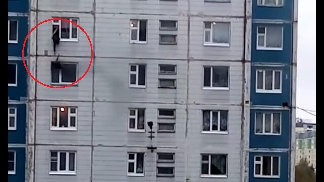 �кҤ�ƨ����򼺤����뤫��������������򡢾峬�������ĥ��夲�Ƶߤ���������