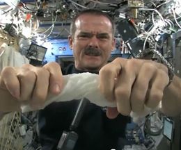 ̵���Ͼ��֤ǤӤ���Ǩ��μ�̤�����ʤ�Ȥɤ��ʤ롩�������ԻΥ��ꥹ���ϥɥե�����ɤ���μ¸�����