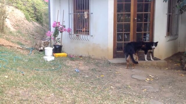 �������ϥ󥿡������˵��դ���뤳�Ȥʤ����ä���Ǧ�Ӵ��ҥ饤����