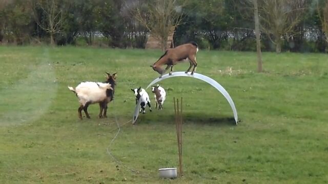 �԰����­��ι⤤�������ä�ͷ�֥䥮����