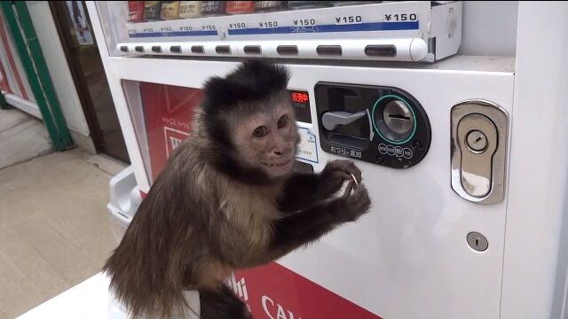 ƥܥ򲡤ơư䵡饸塼եޥΥ