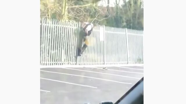 �����Ƥ����ơġġ���ʪ�κ��桢���˼����Ƥ��ޤä��ٻ������ᤷ����