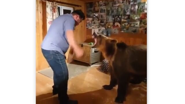 デカいクマと踊って噛まれて楽しそう。クマとすごく仲良しな男