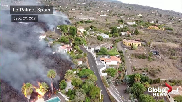 ���𳹤���߹����ϴ䡣50ǯ�֤��ʮ�Ф��ﳲ�������륹�ڥ��󡢥顦�ѥ�����ɥ�����Ƕ���