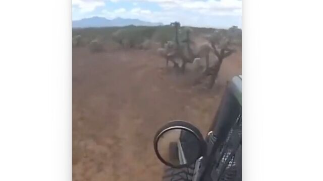 ���ʥ⡼�������ݡ��ġ���꡼�˴����ϤĤ���Ρ��ȤϤ���������ϸ�����