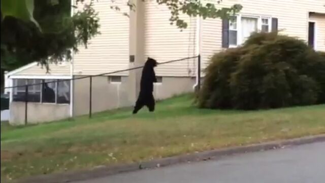 ����­�򼺤�����­��Ԥ˽������3��­�η������𳹤Ǥդ������ܷ⤵���