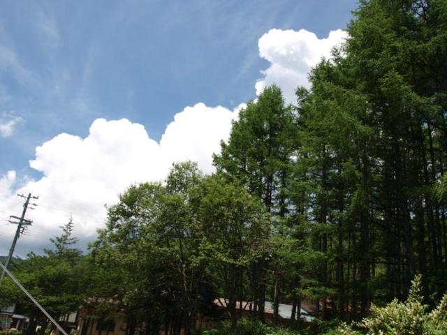 6df5b700.jpg