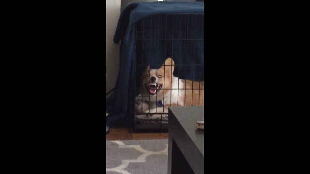 ������������ǥ���������ฤ