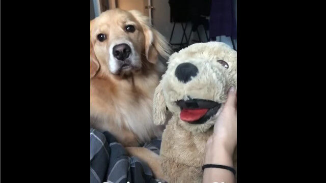 ǥ󡦥ȥСʤʬ䤹ִ֤