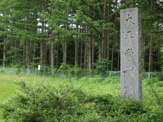 6fd55d45.jpg