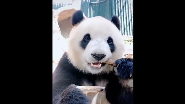 �����Υ��򥷥㥯���㥯���٤�ѥ�������٤äפꤤ���������⿴�Ϥ褯����̣������