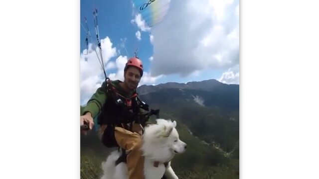 ��ʬ�ϥͥС�����ǥ��󥰡����ȡ��꡼���ե��륳��ߤ����˥�ե�դʸ��Ȱ��Υѥ饰�饤�ǥ���