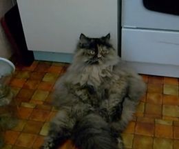 餬ߤƤȻפäǭäġŪǭ