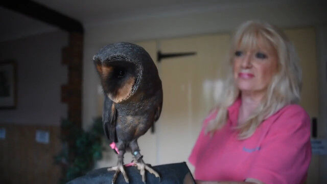 ���ȹ��äݤ����ե�������10������1���γ������ޤ��쥢����