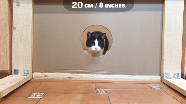 ¡ÖÇ¤ÏÆ¬¤¬Æþ¤ì¤ÐÄ̤êÈ´¤±¤é¤ì¤ë¡×¤È¤¤¤¦Àâ¡¢¼ÂºÝ¤É¤ó¤Ê¤â¤ó¤«¤È¤¤¤¦¼Â¸³±ÇÁü¡¡¤½¤Î2