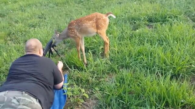 子鹿に舐められまくり。ライフル銃で的を狙っていたら……