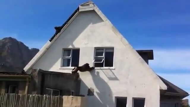 ��եꥫ�ǲȤ���򳫤��������ˤ����㤤���ʤ���ͳ