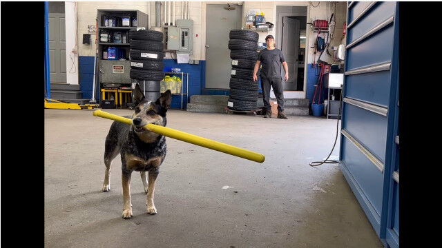 �ȤƤ��ɤ��Хå����ˤʤ줽���ʡ����θ�����������